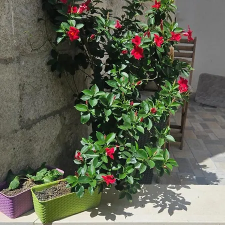 Appartamento Heritage Stone *